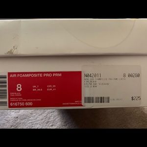 Nike Air Foamposite "Asteroid"